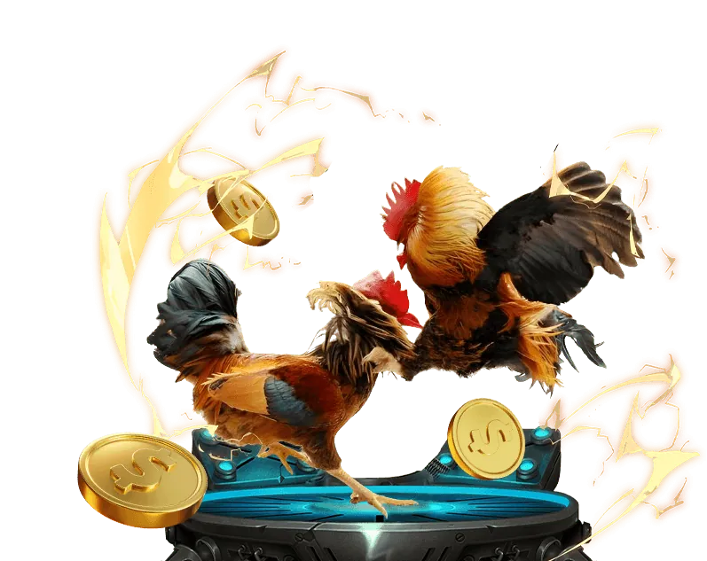 Các loại kèo đá gà phổ biến tại m.789bet